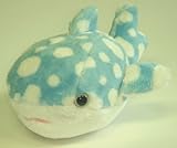 ぷるるんランド　ジンベイザメ