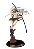 一騎当千XX 趙雲子龍 開眼Ver. (1/6スケール コールドキャスト製塗装済み完成品)