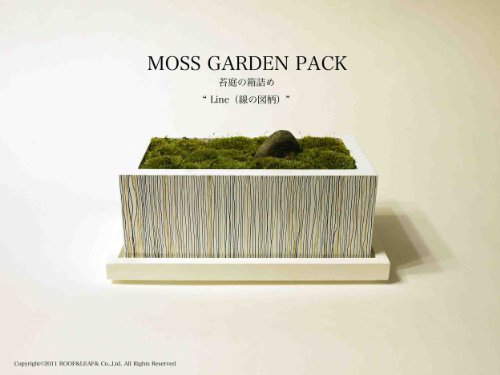 インテリアグリーン　自分で作る苔庭キット 