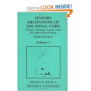 The Sensory System - YouTube