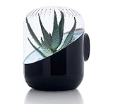 【全国送料無料】 ANDREA　アンドレア　空気清浄機(ブラック)