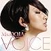 VOICE