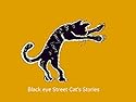優しさに すべりこむ夜: Black eye Street Cat's Stories みなみ まさあき Chapter Book 2