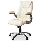 （DORIS）肘可動　低反発入りチェアー【グランド アイボリー】