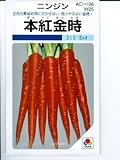 ニンジン　タキイ　本紅金時にんじん　タキイの伝統野菜ニンジン種です