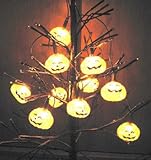 10ライトシャイニングパンプキン 10 Light shining Pumpkin -802467