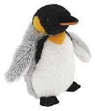 キングペンギン