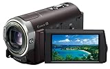 SONY デジタルHDビデオカメラレコーダー CX370V ボルドーブラウン HDR-CX370V/T