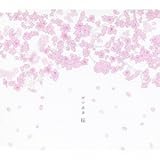 心に響くサクラの名曲 桜 河口恭吾 Gitarcla Ameba