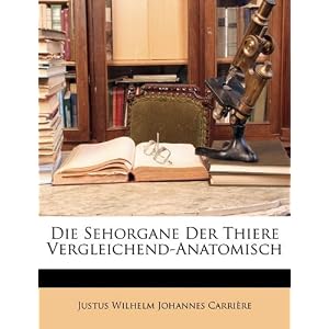 Patienteninfo, Ozon in der Medizin, Ozontherapie