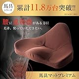 PROIDEA（プロイデア） 馬具マットプレミアム