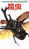 小学館の図鑑NEOポケット 昆虫 (小学館の図鑑NEO POCKET)