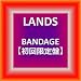 BANDAGE【初回限定盤】