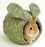 わらっこ倶楽部　うさぎハウスＳ