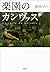 楽園のカンヴァス