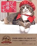 デブねこぴや、還暦です。