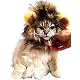 【 可愛さ 超 アップ 】 愛 犬 愛 猫 用 ウィッグ 「 ライオン の たてがみ (耳 付...