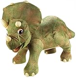 コタ ザ トリケラトプス