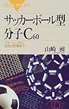 サッカーボール型分子C60―フラーレンから五色の炭素まで (ブルーバックス)