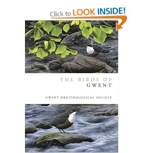 Volunteering | Gwent Wildlife Trust
