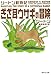 ぎざ耳ウサギの冒険 (集英社文庫 シ 3-8 シートン動物記)