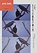 いま、もう一つの素粒子論入門 (パリティブックス) (パリティブックス)