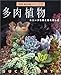 多肉植物―ユニークな形と色を楽しむ (NHK趣味の園芸ガーデニング21)