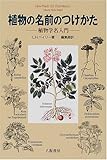 学名 ラテン語の読み方 ５ Tillandsia