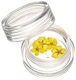 デュカート フラワーコレクション ドライフラワー イエロー