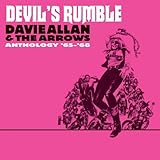 Devil's Rumble: The Davie Allan & the Arrows Anthology