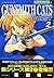 GUNSMITH　CATS　BURST（2） (アフタヌーンKC)