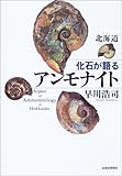 北海道 化石が語るアンモナイト