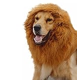 【 犬用 ライオン 変身 グッズ 】 変身 フード ネックウォーマー