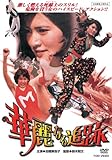 華麗なる追跡 [DVD]