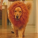 ライオン たてがみ 犬用コスチューム