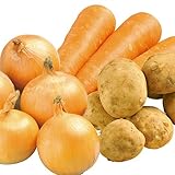 【 有機JAS 認定 】 カレーを < オーガニック100％ > 野菜で作ろう！ 大地の滋養たっぷり カレー 有機根菜セット 2kg 〔 じゃが芋 800g 玉葱 800g 人参 400g 〕 有機野菜セット