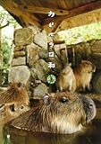 カピバラ日和 [DVD]