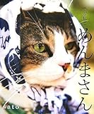 でぶねこめんまさん
