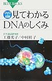 DVD＆図解　見てわかるDNAのしくみ (ブルーバックス)