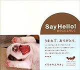 Say Hello! あのこによろしく。 (ほぼ日ブックス)