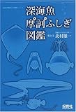 深海魚摩訶ふしぎ図鑑 (「生きもの摩訶ふしぎ図鑑」シリーズ)