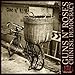 CHINESE DEMOCRACY
