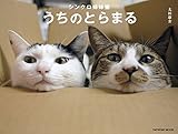 シンクロ姉妹猫 うちのとらまる (タツミムック)