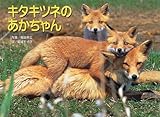 キタキツネのあかちゃん (親と子の写真絵本 (3))