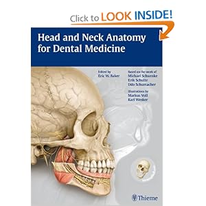 Head and Neck Cancers - National Cancer.