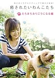 癒されたいわんこたち たちまちおりこうになる編 [DVD]