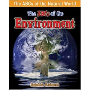 THE ABCs of Statistics - Accelper Consulting