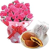 カーネーション5号鉢 文明堂どら焼き 花とスイーツ フラワーギフト 花鉢 母の日ギフト