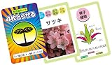 植物のなかまカードゲーム