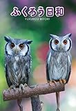 ふくろう日和 [DVD]
